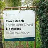 Public access to Durrow High Cross ceased  last year, the first time in 1200 years