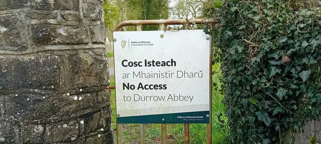 Public access to Durrow High Cross ceased last year, the first time in 1200 years
