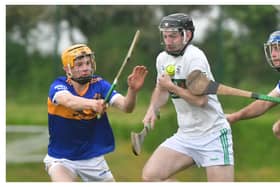 Clough/Ballacolla maintain 100% start to Division 1 with big win over Portlaoise