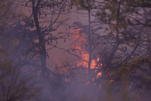 It was the latest among a spate of wildfires across Northern Ireland in recent weeks.