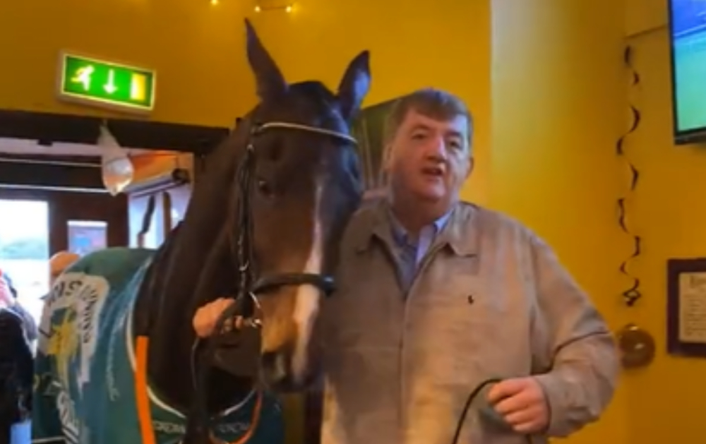 WATCH: Carlow trainer Shark Hanlon brings Hewick for a pint to ...