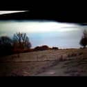 Loch Ness monster footage captured by Donegal man