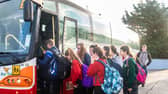 "School transport is a cornerstone of our education system, particularly in rural counties like Donegal," Minister McConalogue says