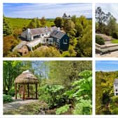 PICTURES: Dream home with fairytale garden and its own maze could be yours for €1.2 million