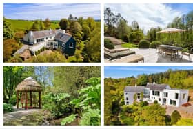PICTURES: Dream home with fairytale garden and its own maze could be yours for €1.2 million