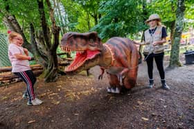 Jurassic Newpark will be full of Halloween excitement in the coming weeks. Photo: Dylan Vaughan