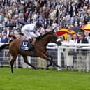 Stellar Sunrise and Oisin Murphy win at Goodwood