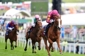The Betfred Derby Festival – Ladies Day – Epsom Downs Racecourse