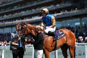 James McDonald was a winner in the Wathnan silks last year