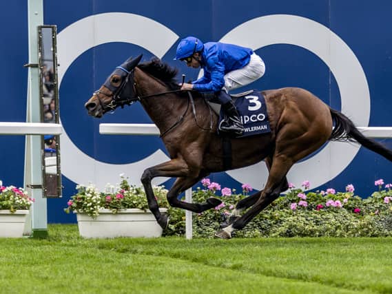 Trawlerman is bidding to defend his Ascot Gold Cup crown