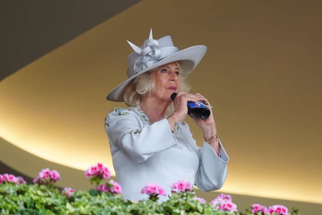 Racing dreams dashed for King and Queen on opening day of Royal Ascot