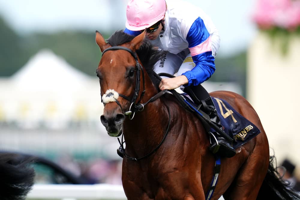 Limestone was a narrow winner of the Queen's Vase