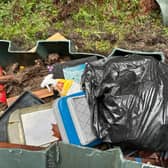 A previous example of illegal dumping at Corbally Wood in Piltown, Kilkenny. Photo: John Power  