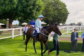 Lazy Griff after running at Sandown