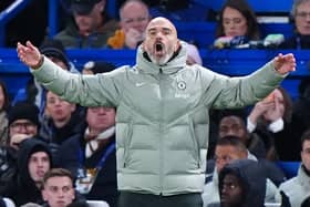Enzo Maresca spreads his arms wide