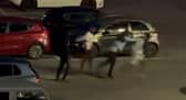 Scary Salthill fight video shows gang of three repeatedly kick and punch man’s head on ground