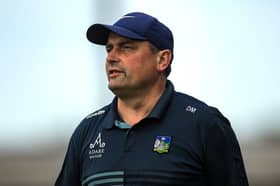 Limerick manager Diarmuid Mullins
