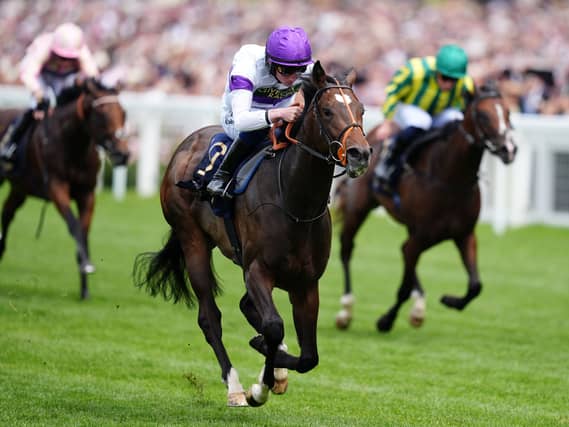 Orthodox dazzled at Royal Ascot