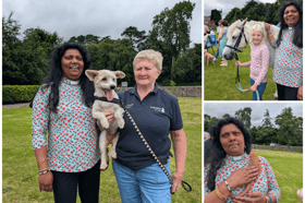 Animal-lovers gather to get their pets blessed at Louth church