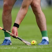 One of Limerick's longest-serving hurlers has taken on a new role | PICTURE: Ray McManus/Sportsfile
