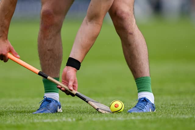 One of Limerick's longest-serving hurlers has taken on a new role | PICTURE: Ray McManus/Sportsfile