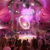 Carnation circus show at Claddagh 