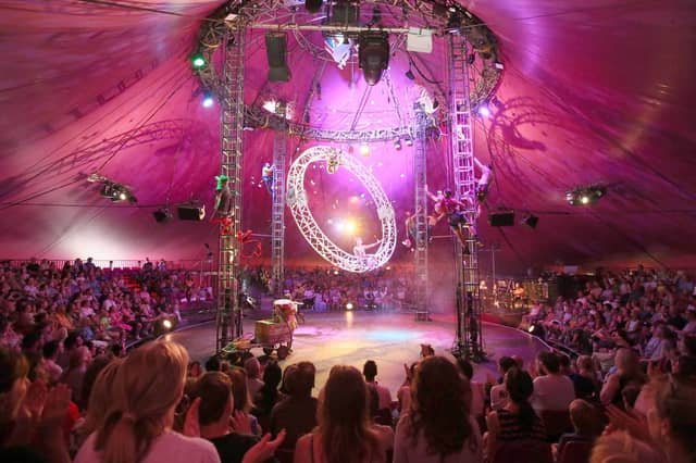 Carnation circus show at Claddagh