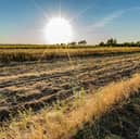 The warm weather and lack of rain is challenging for dairy and livestock farmers