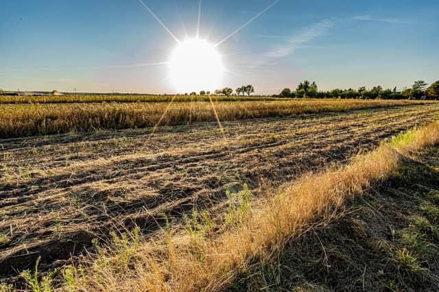 The warm weather and lack of rain is challenging for dairy and livestock farmers