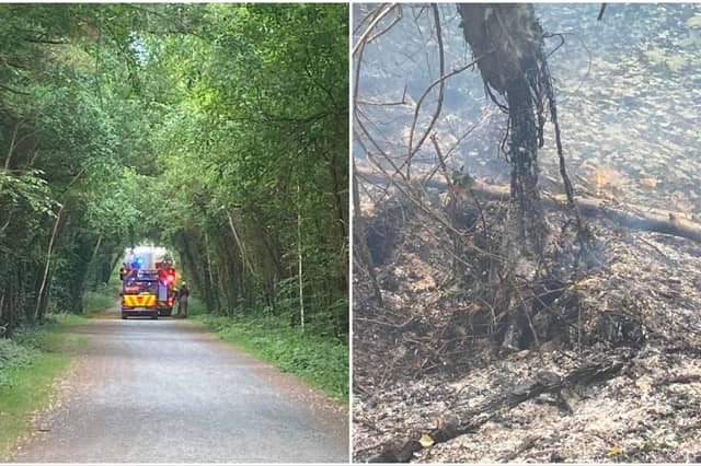 Fire Services were quickly on the scene at Derryounce, near Portarlington.