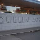 Dublin Zoo has a special offer for Mayo fan this Sunday
