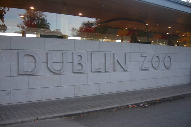 Dublin Zoo has a special offer for Mayo fan this Sunday