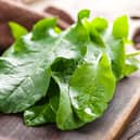 Sorrel leaves on a chopping board (Alamy/PA)