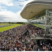General view of Galway Races crowds