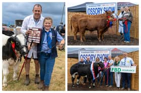 Pedigree cattle from around Ireland competed for prizes at the Ossory Agricultural Show at Coolfin, Rathdowney, Co Laois.