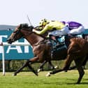 Qatar Goodwood Festival 2026 – Day Two