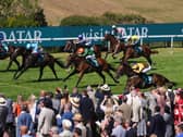Qatar Goodwood Festival 2026 – Day Four