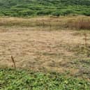The site at the Saleens after the family had left