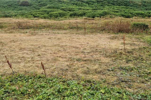 The site at the Saleens after the family had left