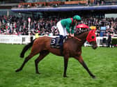 Daryz did not sparkle at Royal Ascot