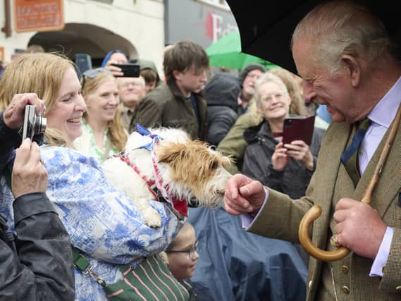 The King's hand is sniffed by a dog being held up by a woman in a crowd of well-wishers