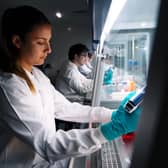Student Ana Guadiana in the cancer diagnostics lab