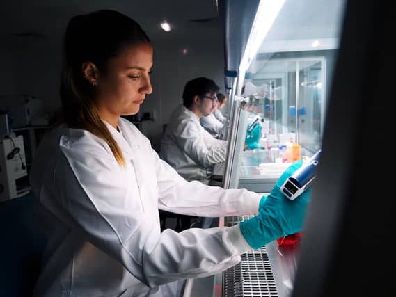 Student Ana Guadiana in the cancer diagnostics lab