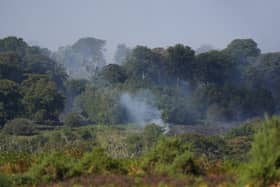 New Forest heathland fire