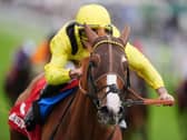 Sallaal is a horse firmly on the upgrade