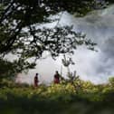 New Forest heathland fire