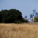 Dry grass with London in the background
