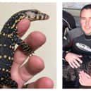 Left: One of the new arrivals. Right: James Hennessy