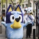 Bluey at Australia House
