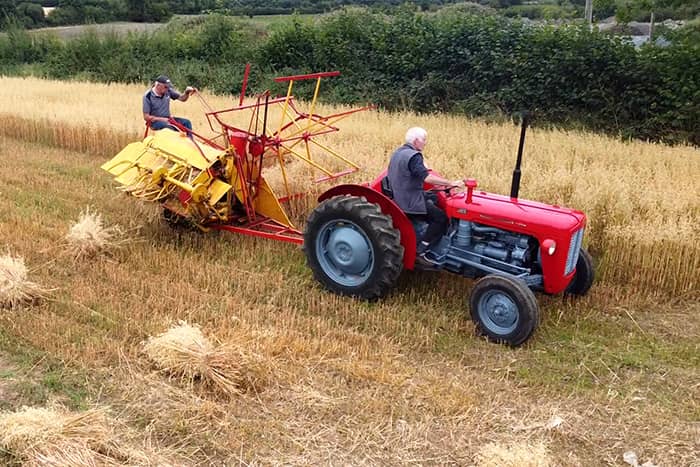 Timmy Nolan on tractor and Noel Kearney operating the reaper and binder at Harvest Festival launch